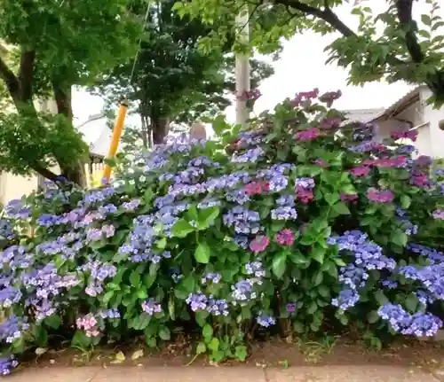 宝祥寺(東京都)
