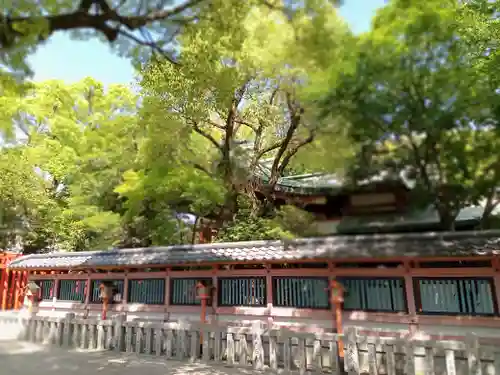 服部住吉神社(大阪府)