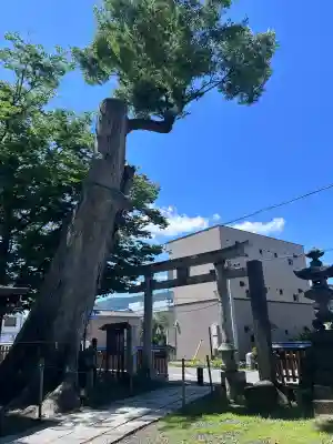 科野大宮社(長野県)