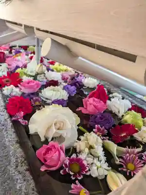 鳩森八幡神社(東京都)