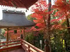 柏原八幡宮の景色(2020年11月26日(木) 22時33分01秒投稿)