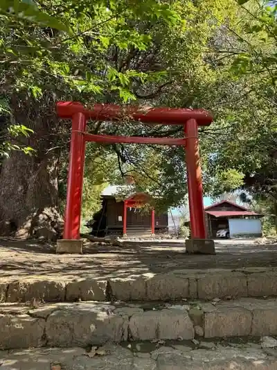 石受稲荷神社の鳥居