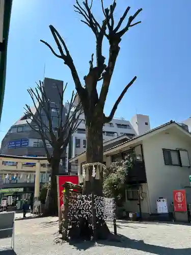 子安神社(東京都)
