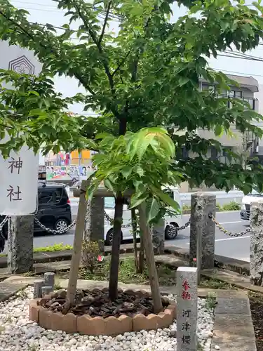 嶺白山神社の自然