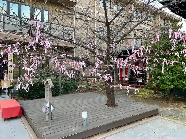 桜神宮(東京都)
