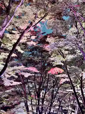 土津神社｜こどもと出世の神さま(福島県)