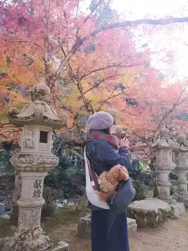 佛通寺(広島県)