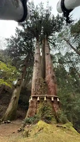 御岩神社(茨城県)