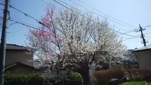 医王寺薬師堂(恩田薬師堂)の自然