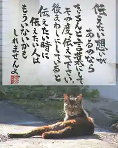 専念寺(大阪府)(2022年06月07日(火) 18時58分30秒投稿)