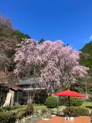 仏隆寺の{uncategorized: "未分類", other: "その他", undefined: "問題あり", building: "その他建物", grave: "お墓", sacred_gate: "鳥居", guardian: "狛犬", statue: "像", buddha: "仏像", history: "歴史", nature: "自然", garden: "庭園", animal: "動物", pagoda: "塔", temizu: "手水舎", mountain_gate: "山門・神門", sanctuary: "本殿・本堂", subordinate: "末社・摂社", art: "芸術", scenery: "景色", jizo: "地蔵", ema: "絵馬", goshuin: "御朱印", omikuji: "おみくじ", items: "授与品その他", amulet: "お守り", goshuincho: "御朱印帳", eats: "食事", festival: "お祭り", votive_dance: "神楽", shichigosan: "七五三参", wedding: "結婚式", experience: "体験その他", initially: "初詣", around: "周辺", anti_infection: "感染症対策"}