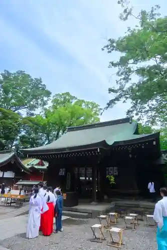 川越氷川神社(埼玉県)