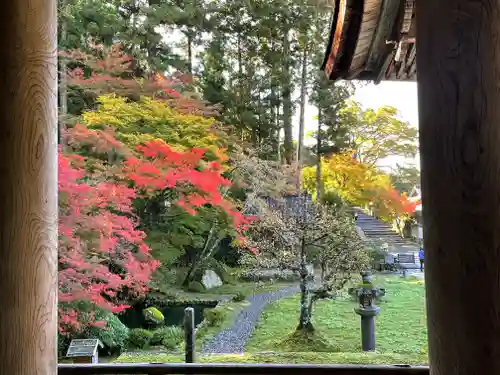 勝林寺の庭園