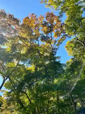 善法律寺の自然