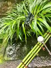 武田神社の手水