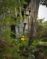 一乗院(開運出世筑波不動尊) (茨城県)