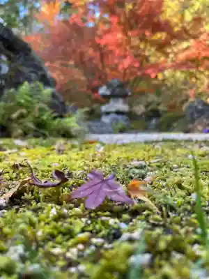 善水寺(滋賀県)