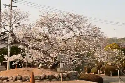実報寺(愛媛県)