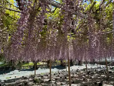 白旗神社(神奈川県)