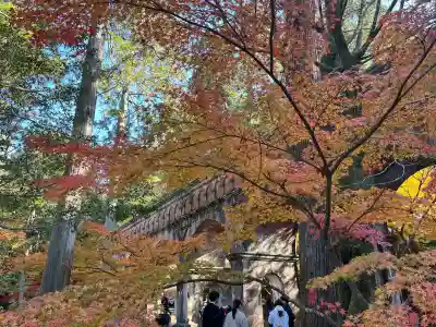 南禅寺(京都府)