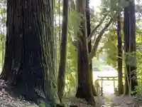 熊野神社の鳥居