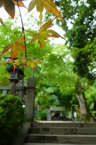 葛城一言主神社の自然