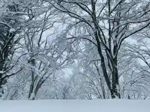 土津神社|こどもと出世の神さまの自然(2020年12月19日(土) 11時04分46秒投稿)