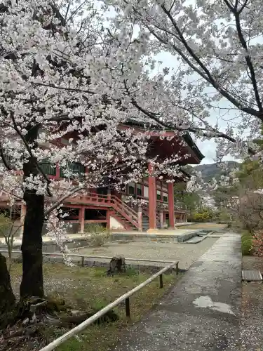 甲斐善光寺の{uncategorized: "未分類", other: "その他", undefined: "問題あり", building: "その他建物", grave: "お墓", sacred_gate: "鳥居", guardian: "狛犬", statue: "像", buddha: "仏像", history: "歴史", nature: "自然", garden: "庭園", animal: "動物", pagoda: "塔", temizu: "手水舎", mountain_gate: "山門・神門", sanctuary: "本殿・本堂", subordinate: "末社・摂社", art: "芸術", scenery: "景色", jizo: "地蔵", ema: "絵馬", goshuin: "御朱印", omikuji: "おみくじ", items: "授与品その他", amulet: "お守り", goshuincho: "御朱印帳", eats: "食事", festival: "お祭り", votive_dance: "神楽", shichigosan: "七五三参", wedding: "結婚式", experience: "体験その他", initially: "初詣", around: "周辺", anti_infection: "感染症対策"}