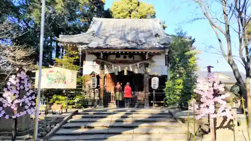 北本氷川神社(埼玉県)