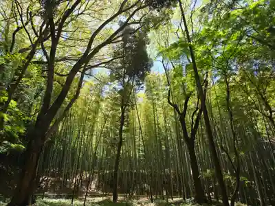 三女神社(京都府)