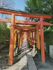 根津神社の鳥居