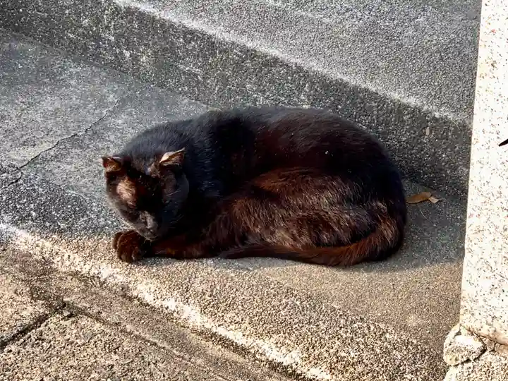 神明神社の動物