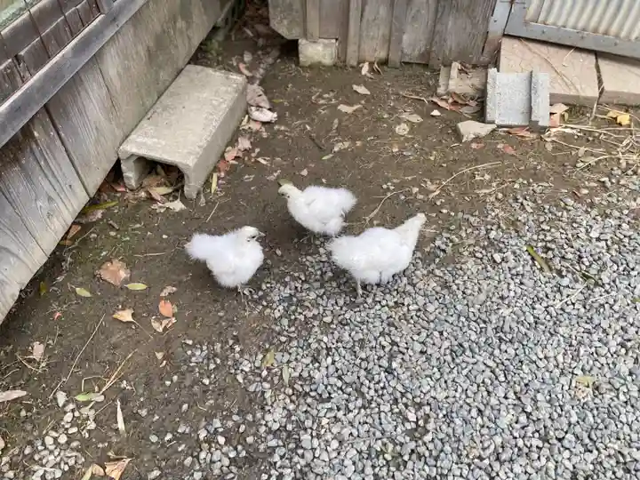 高屋敷稲荷神社(福島県)