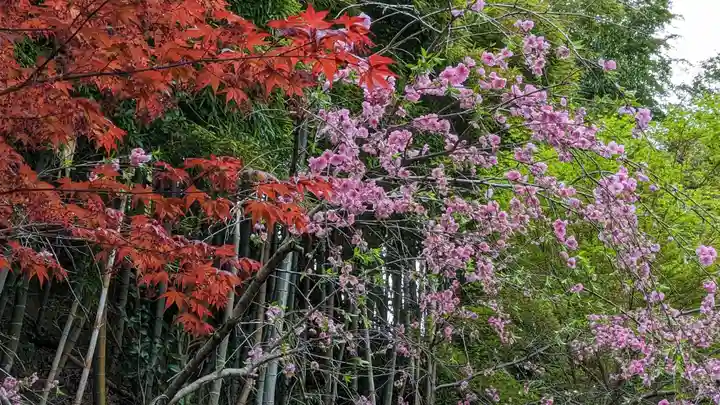 谷ヶ堂最福寺(延朗堂)(京都府)
