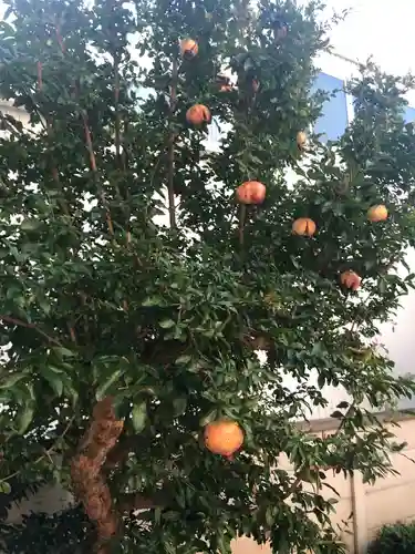 伊富稲荷神社の自然