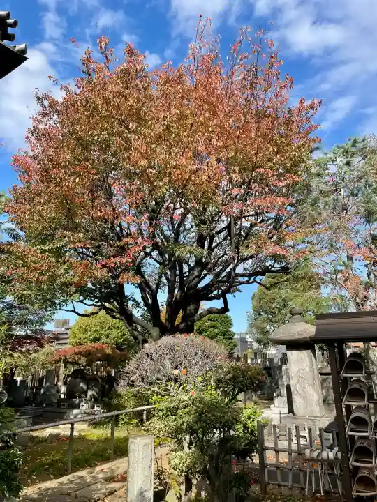 実相寺(東京都)