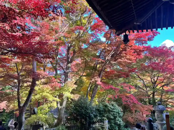 柳谷観音 楊谷寺 奥之院(京都府)