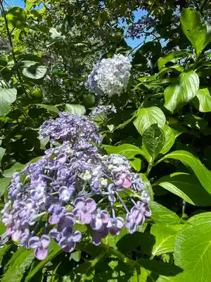本勝寺(静岡県)