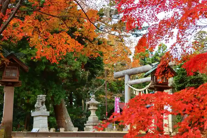 三春大神宮の景色
