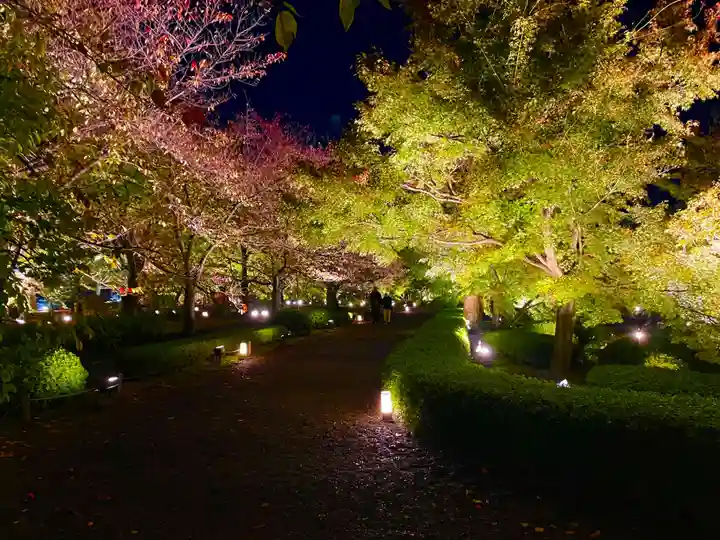 東寺(教王護国寺)(京都府)