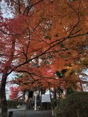普門院（文知摺観音）(福島県)