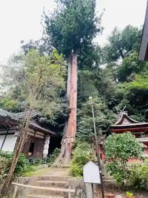 宇太水分神社（中社）(奈良県)