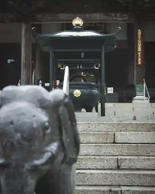 大聖寺（土浦大師不動尊）(茨城県)