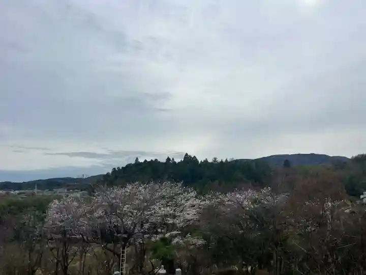 遍照寺の{uncategorized: "未分類", other: "その他", undefined: "問題あり", building: "その他建物", grave: "お墓", sacred_gate: "鳥居", guardian: "狛犬", statue: "像", buddha: "仏像", history: "歴史", nature: "自然", garden: "庭園", animal: "動物", pagoda: "塔", temizu: "手水舎", mountain_gate: "山門・神門", sanctuary: "本殿・本堂", subordinate: "末社・摂社", art: "芸術", scenery: "景色", jizo: "地蔵", ema: "絵馬", goshuin: "御朱印", omikuji: "おみくじ", items: "授与品その他", amulet: "お守り", goshuincho: "御朱印帳", eats: "食事", festival: "お祭り", votive_dance: "神楽", shichigosan: "七五三参", wedding: "結婚式", experience: "体験その他", initially: "初詣", around: "周辺", anti_infection: "感染症対策"}