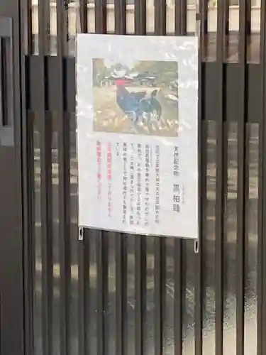 玉祖神社(山口県)