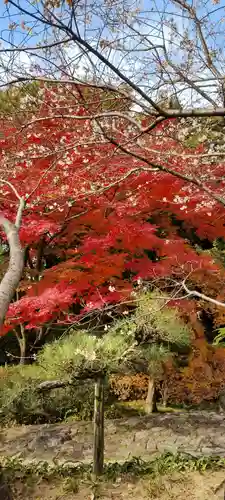 熱田神宮(愛知県)