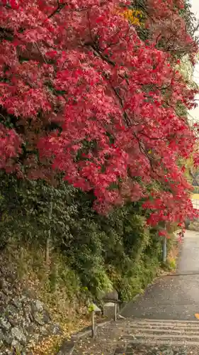 宝積寺(京都府)