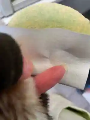 御霊神社(奈良県)