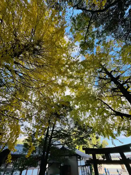 高良神社(京都府)