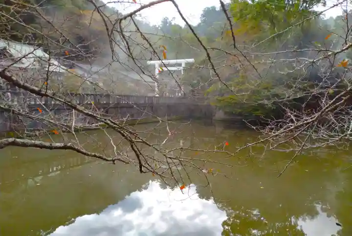 安房神社(千葉県)